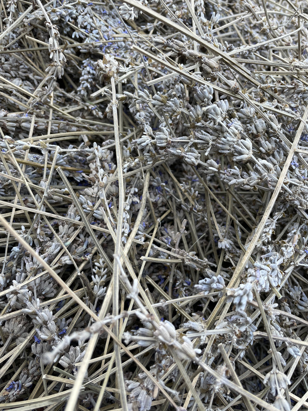 Lavender & Straw Bedding